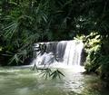 "Y.S. Falls, Jamaica-Natural Waterfall wonderland with Rocky's Taxi"