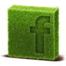 Facebook GTR Turf USA