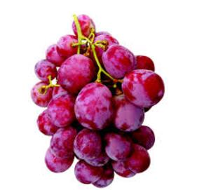 hoa quả ngâm rượu