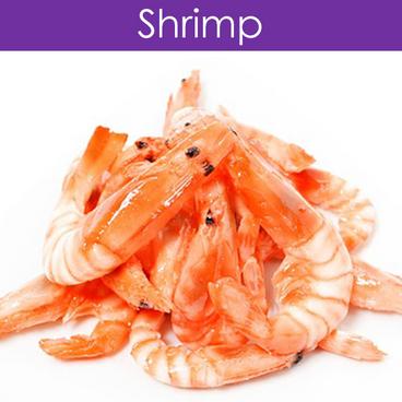 Shrimp