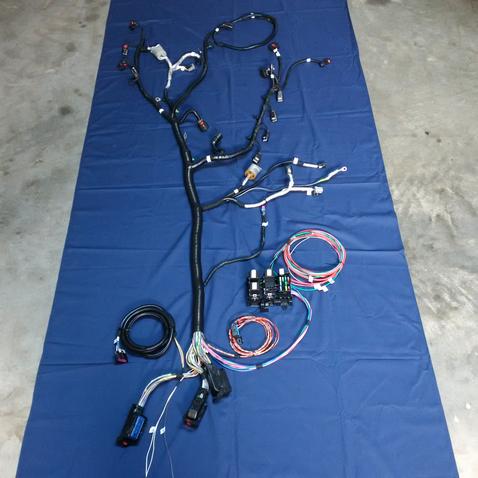 Lt1 Wiring Harness Stand Alone - Wiring Diagram Schemas
