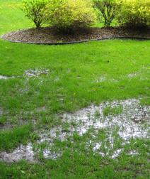 Victory Septic Solutions — photo 4