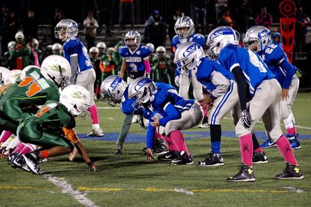 Dot Eagles 12U team finishes third in its Pop Warner Super Bowl group