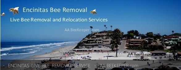 Encinitas Bee Removal