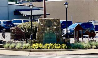 City grant project by Josette Johnson Lamp Lighting Project