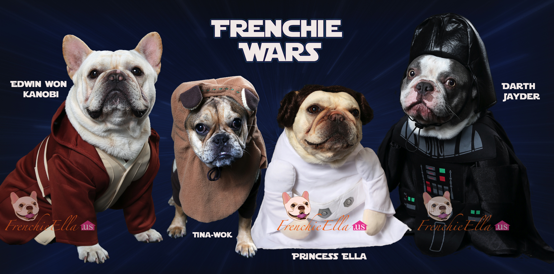 French Bulldog Puppies Frenchieella Us