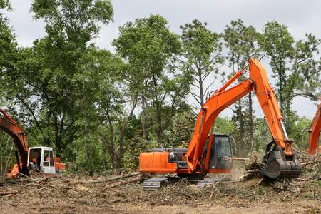 Leading Land Clearing Services in Lincoln NE | LNK Junk Removal