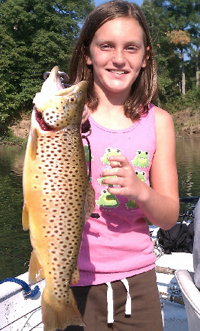 Jerkbait Fishing Lake Taneycomo with Guide John Sappington and