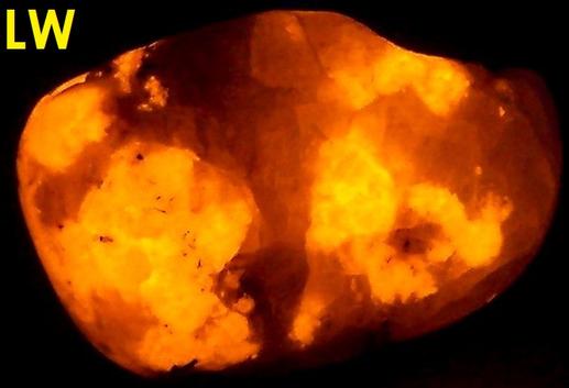 fluorescent SODALITE, Aegirine, Ilimaussaq complex, Narsaq, Kujalleq (Kitaa Province; West Greenland), Greenland - type locality of Sodalite