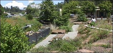 Ivy House Creekside Park at Clay Street by Debra Power grantwriting