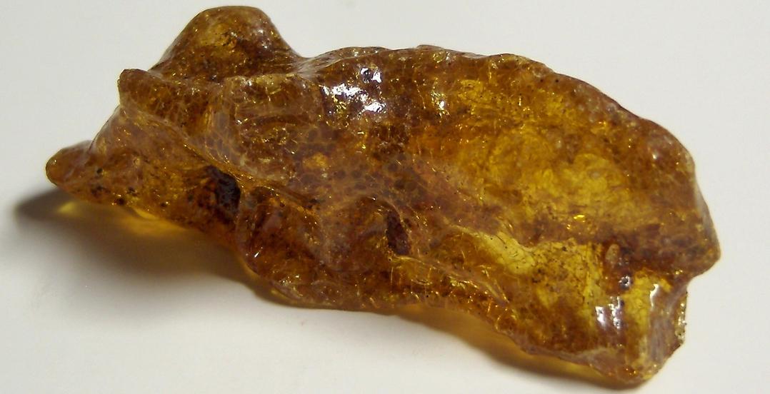 Fluorescent golden AMBER - Dominican Republic, ex Sue MacInnis