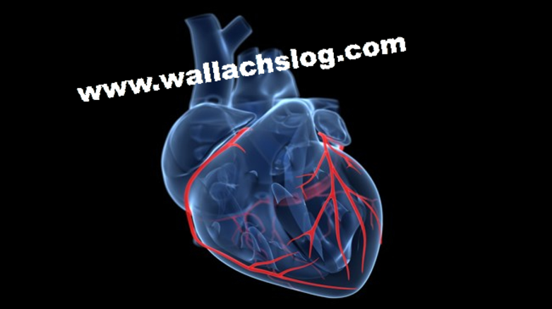 Weak Heart - Dr. Joel Wallach