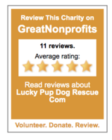 lucky pup dog rescue reviews