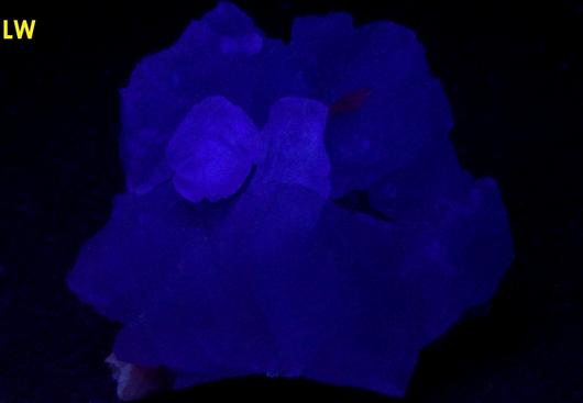 green Fluorescent FLUORITE, CALCITE poker chips, Xianghualing Mine (Hsianghualing Mine), Xianghualing Sn-polymetallic ore field, Linwu County, Chenzhou Prefecture, Hunan Province, China - ex Parker Minerals