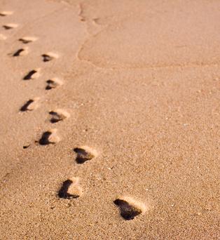 Cremation Prices in Palm Beach County