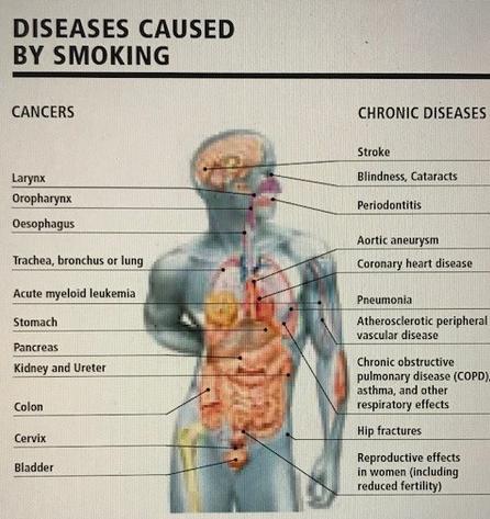 Smoking Cessation Retreat - Smoking Cessation Wellness Retreat