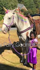 atlanta unicorn party, my fairy godmother parties