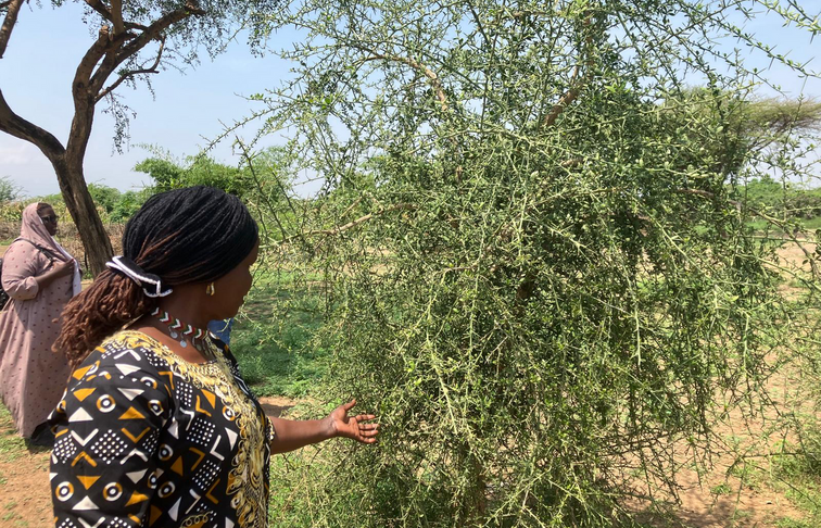 visit with AIC Kokwototo and Orus in East Tiaty