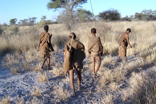 bushmen calaari andando tribo africana