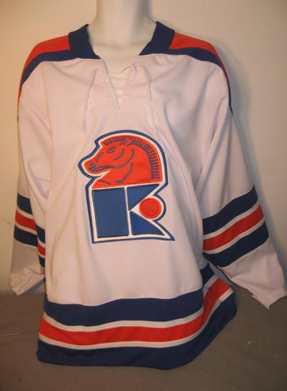 WHA World Hockey Association all star vintage hockey jersey