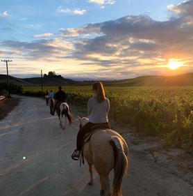 Guided Horseback Tour Temecula, CA