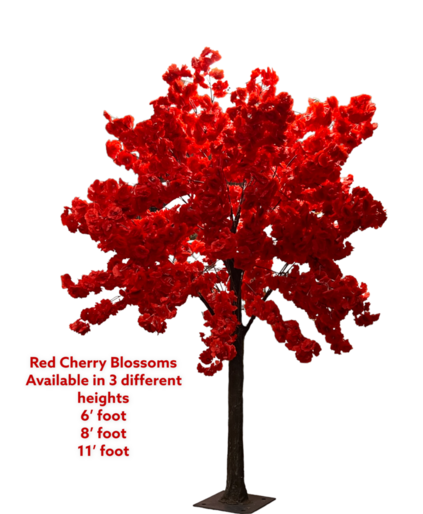 red cherry blossom trees for rent