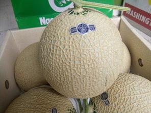 Dưa Muskmelon Nhật