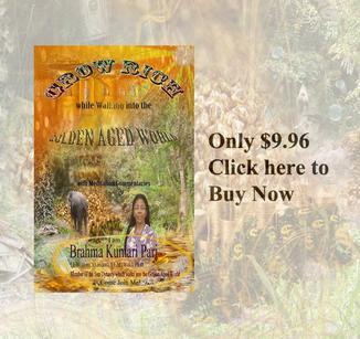 Grow Rich while Walking into the Golden Aged World (with Meditation Commentaries)
