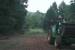 Kentucky deer food plots