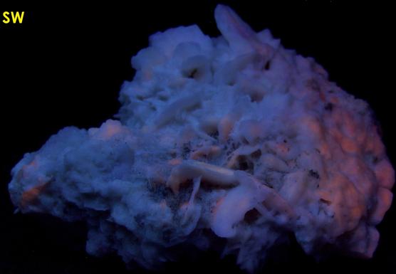 fluorescent GYPSUM SELENITE - Guerrero Negro, Mun. de Mulege, Baja California Sur, Mexico