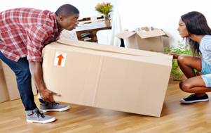 Gauteng Mini Movers