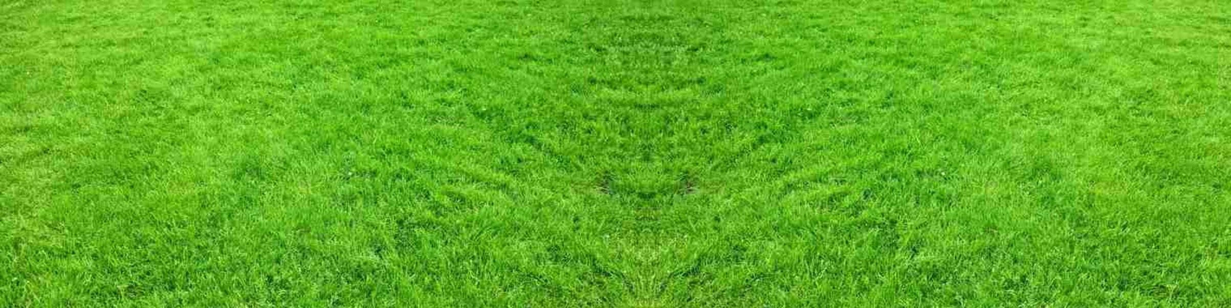 RC GPS Tracked Robotic Lawn Mower