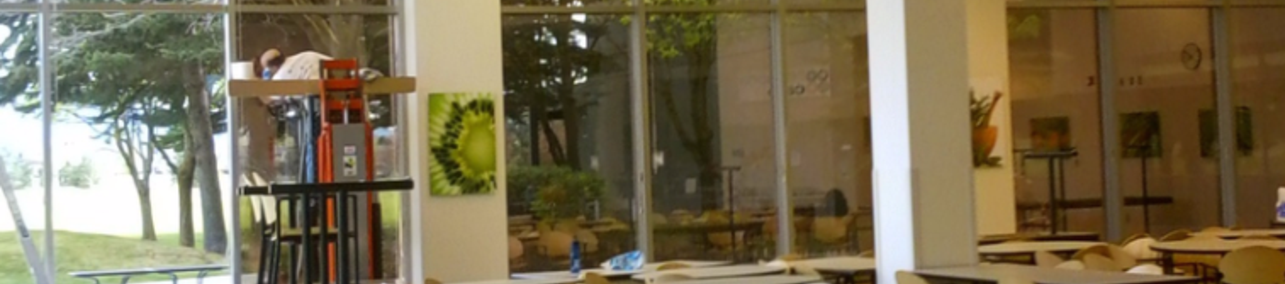 Bronze film for customer comfort at Meadowwood Tech Campus