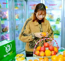 Giỏ trái cây viếng đám tang