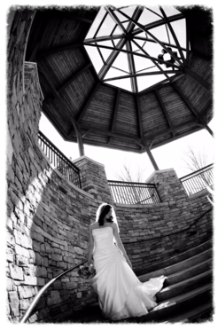 Chicago Wedding Planner