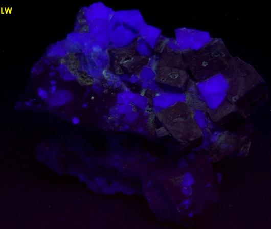 fluorescent FLUORITE, GALENA, QUARTZ, ANGLESITE - Desert Rose Mine (Downey Stope; Mountain Canyon Mine; Ace High Mine), Garden Spring Canyon, Bingham, Hansonburg District, Socorro County, New Mexico, USA