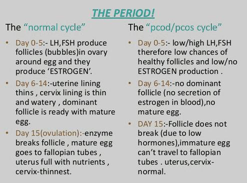 Female Period, estrogen, fallopian tubes, LH, FSH