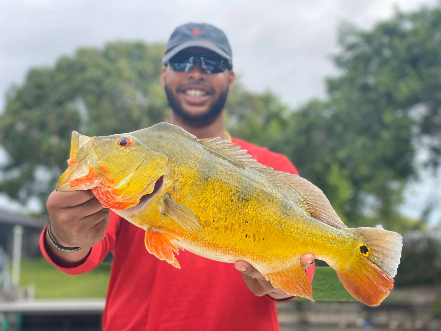 Florida Peacock Bass Fishing