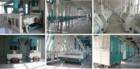 100T to 500T wheat flour milling machine