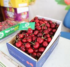 giá cherry Úc