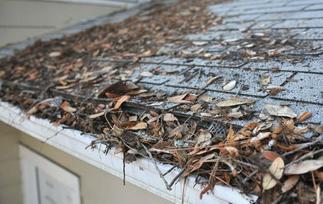 Clogged Gutters