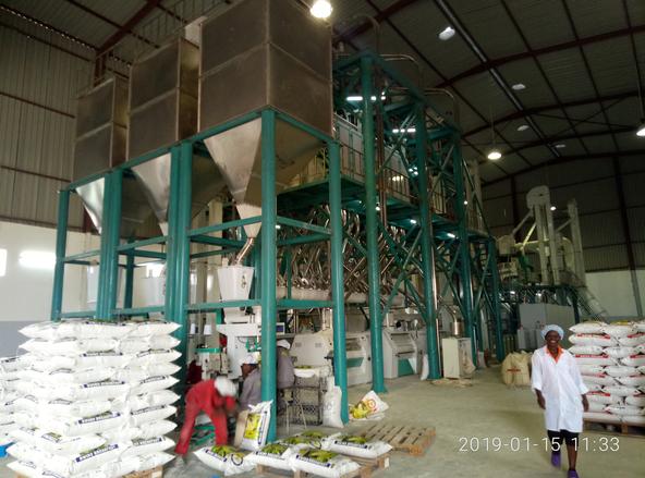 240t maize milling machine running in Zambia