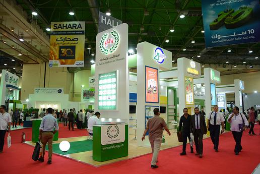 SAHARA exhibition for wheat flour mill and corn flour mill machine