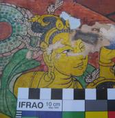 Peintures murales sur support en terre