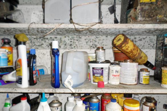 mold belongings remediation: 101 — paulamariesalas