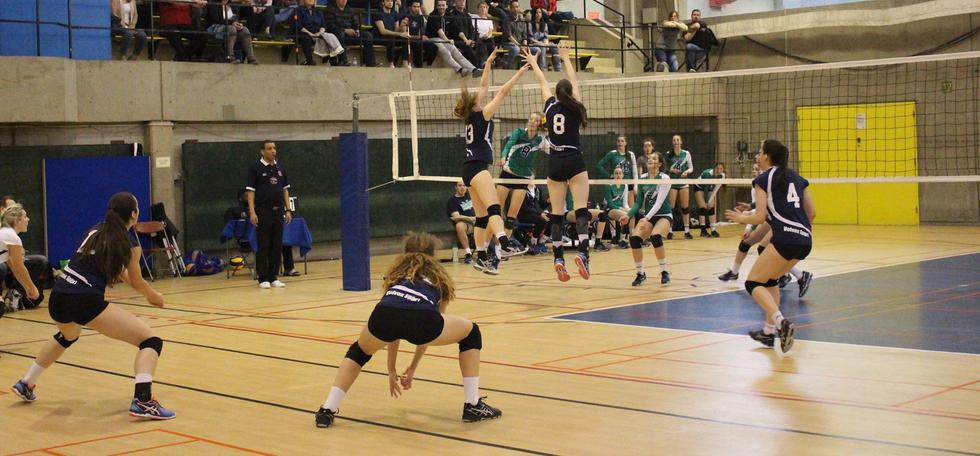 Montreal Cup Volleyball