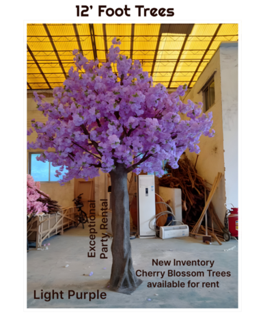 #purplecherryblossomtrees #weddingtrees #purpletrees