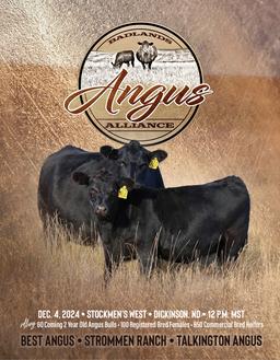 Angus Bull, Female, sale catalog