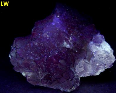 fluorescing FLUORITE - Melchor Múzquiz, Mun. de Melchor Múzquiz, Coahuila, Mexico