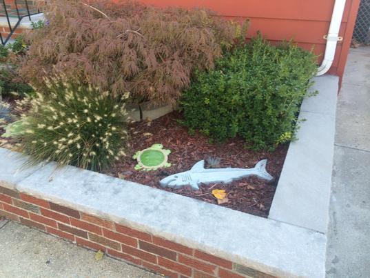 How to make shark shaped concrete stepping stones